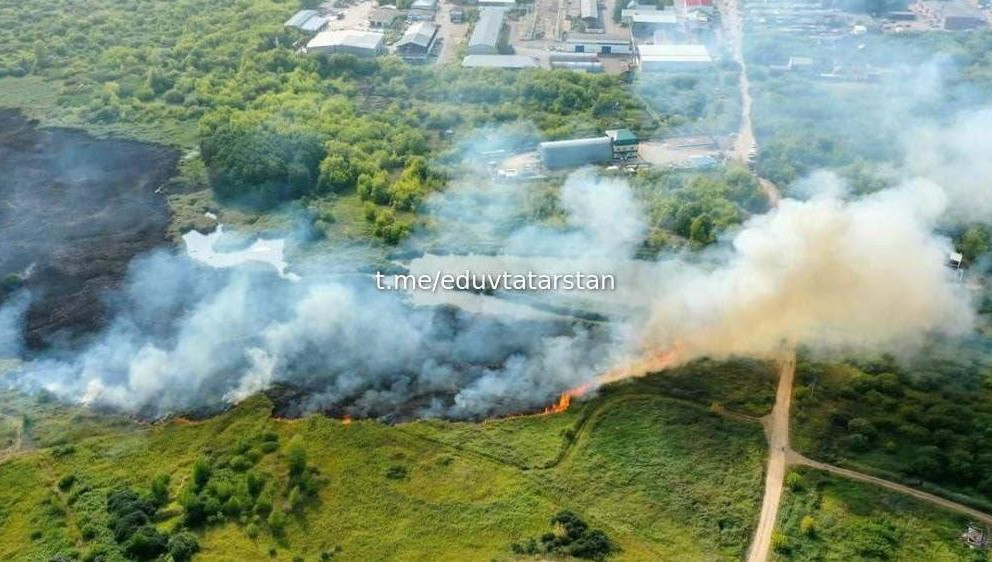Наказ связан с недавним возгоранием камыша на почти 1000 кв.метров.