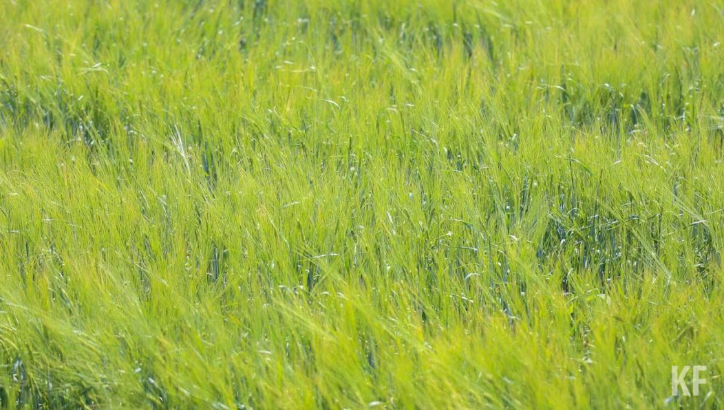 Чтобы город стал чище