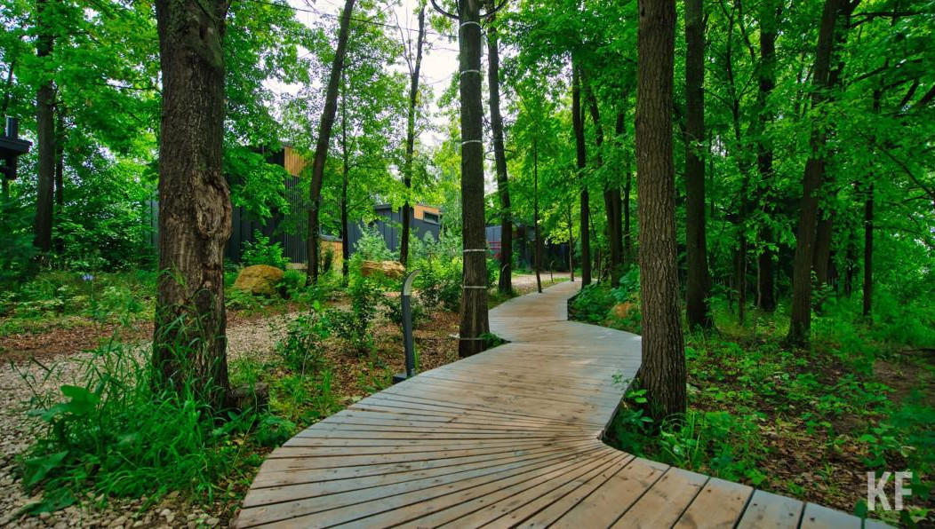 Это составляет 100 процентов от плана.