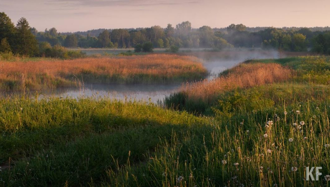 Водоем находится в заброшенном состоянии.