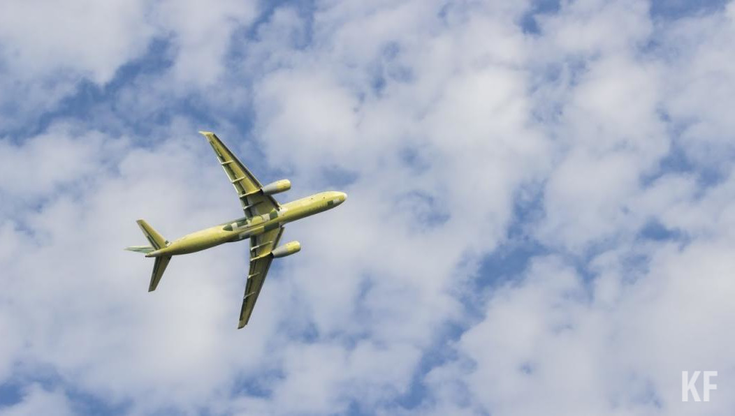 Наказать дебошира смогут по законам страны