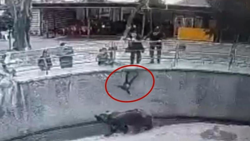 Женщина хотела развестись с мужем