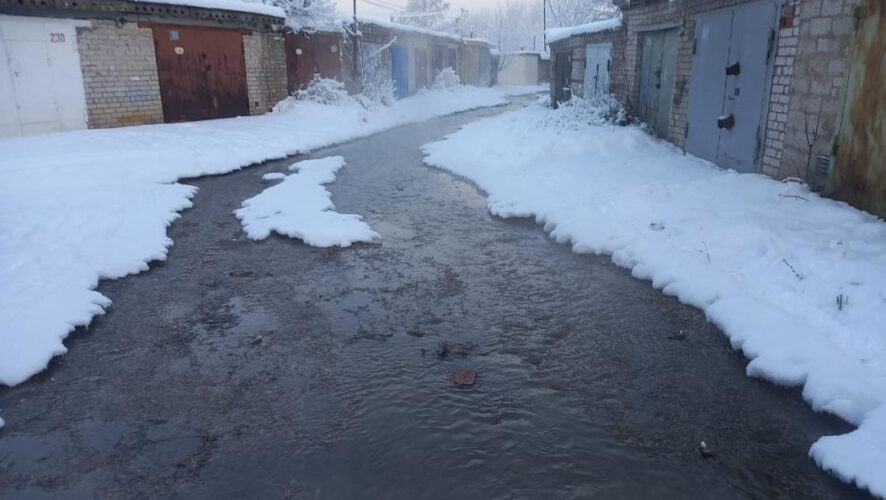 Организация в досудебном порядке возместила вред