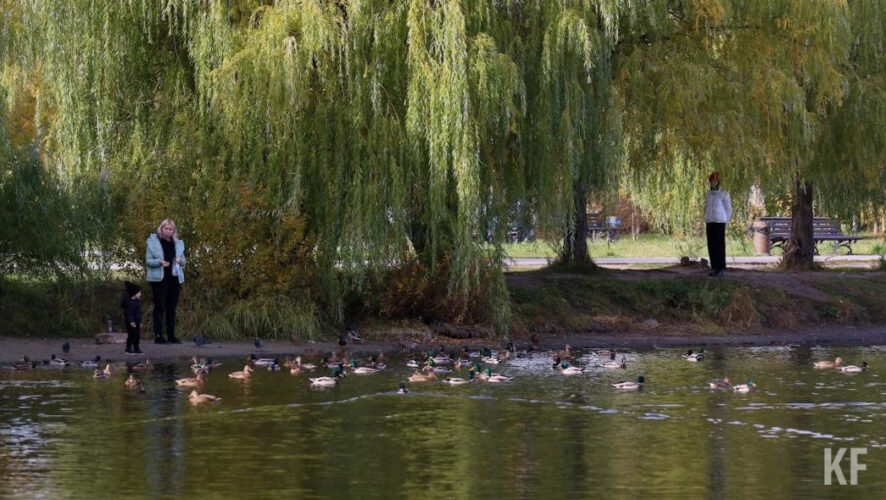 Победителями оказались Болгар