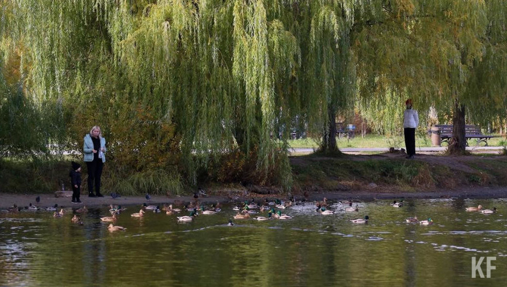 Победителями оказались Болгар