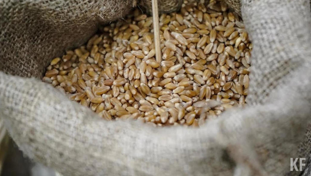 Марат Зяббаров назвал районы