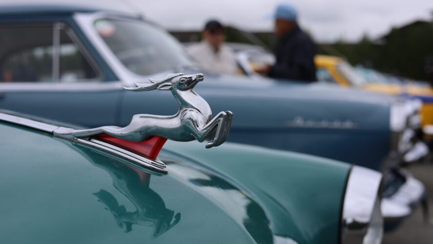 20240817104018_IMG_1357_11zon 20240817104018_IMG_1357_11zon