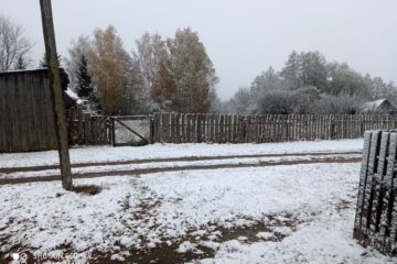 Фото: "В Татарстане Поймут" / Telegram