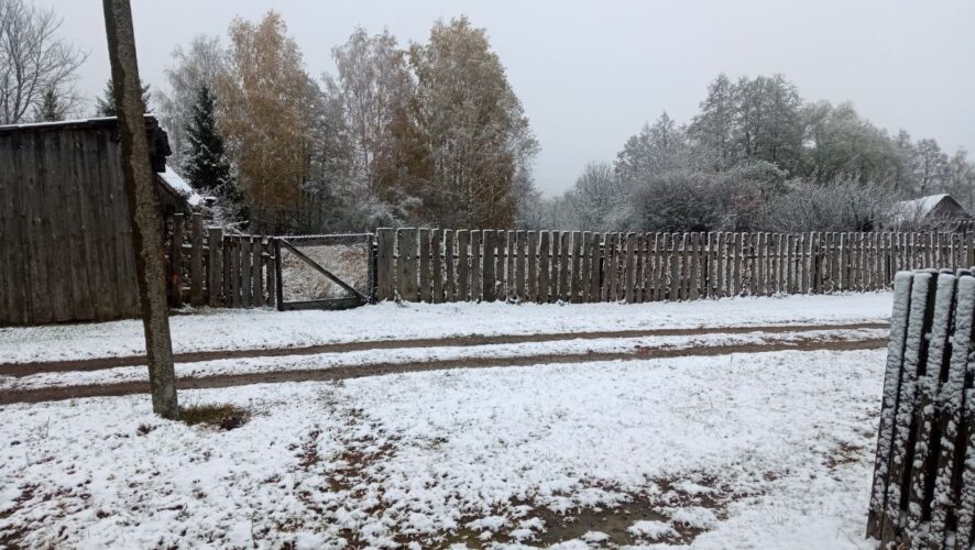 Фото: "В Татарстане Поймут" / Telegram