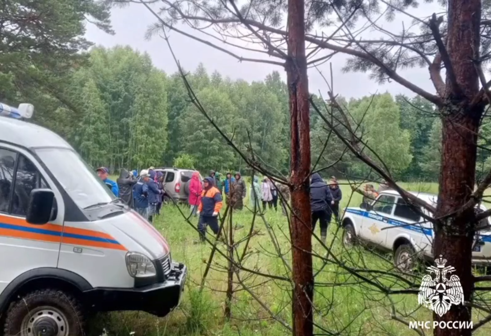 В Татарстане женщина провела двое суток в лесу после сбора ягод