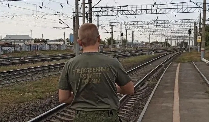 Поезд насмерть сбил пожилого мужчину в Самарской области