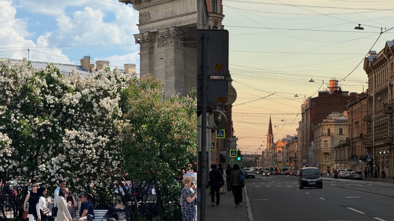 Новосибирец поделился опытом переезда в Санкт-Петербург
